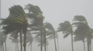 تحذير الأرصاد.. رياح قوية تقود موجة ارتفاع درجات الحرارة في عدة محافظات